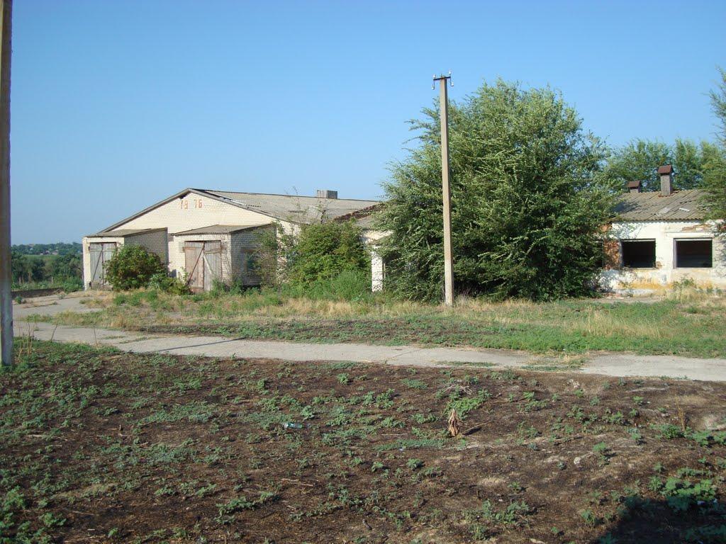 Василівка з panoramio.com - Василівка
