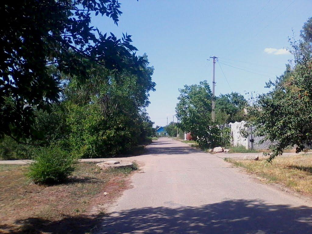 Новотимофіївка з panoramio.com - Новотимофеевка