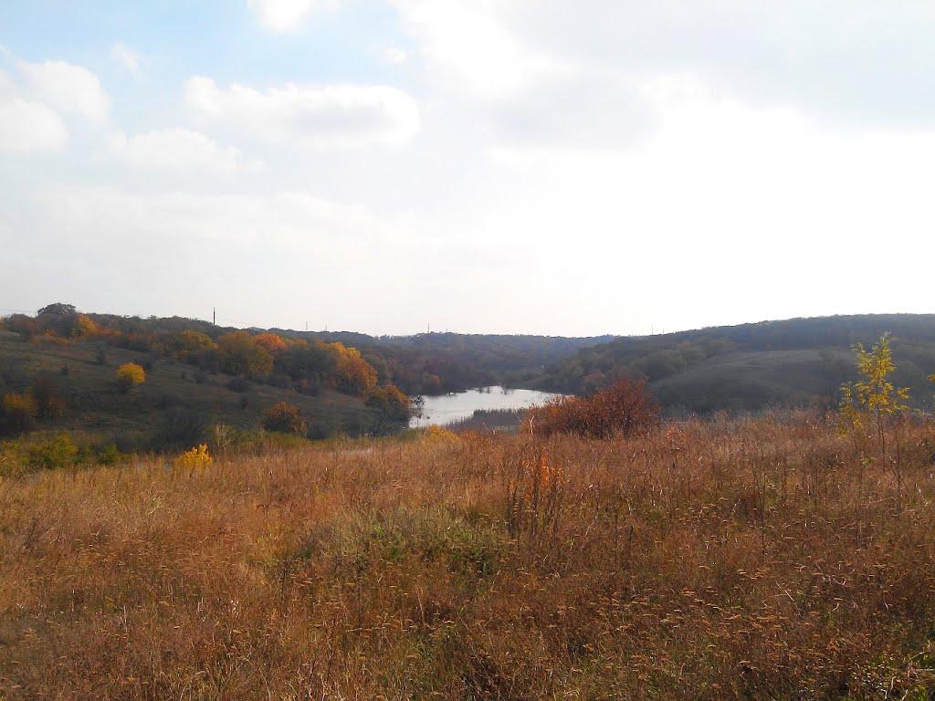 Придніпрянське з panoramio.com - Приднепрянское