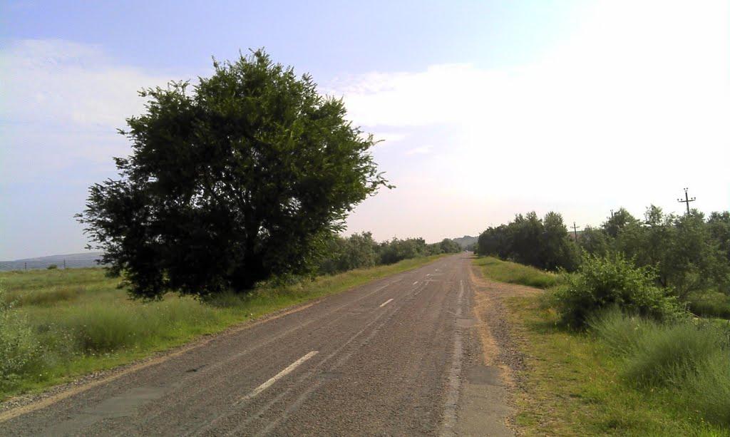 Нововідрадне з panoramio.com - Новоотрадное