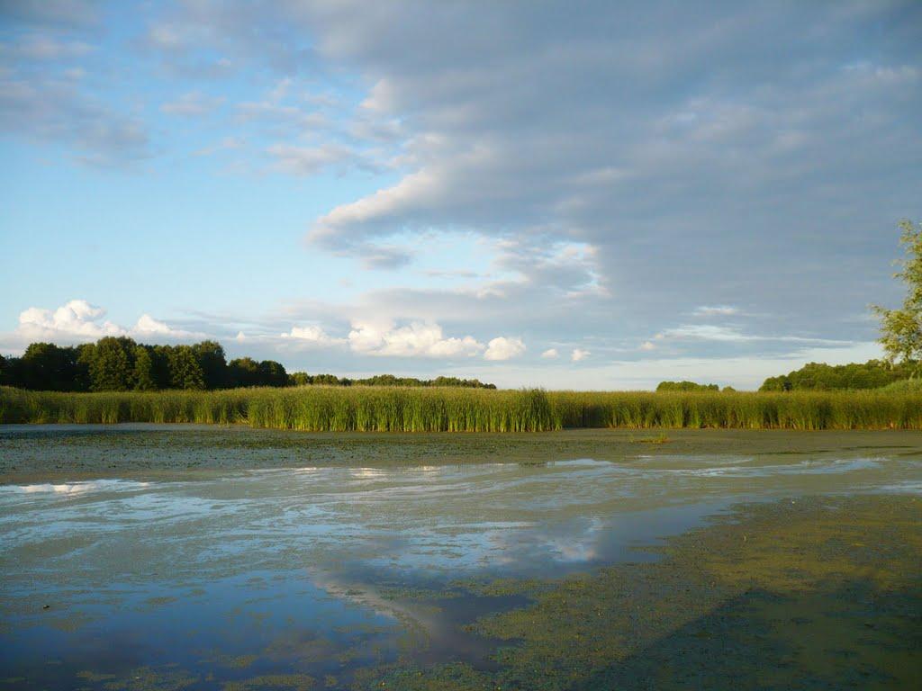 Богдани з panoramio.com - Богданы