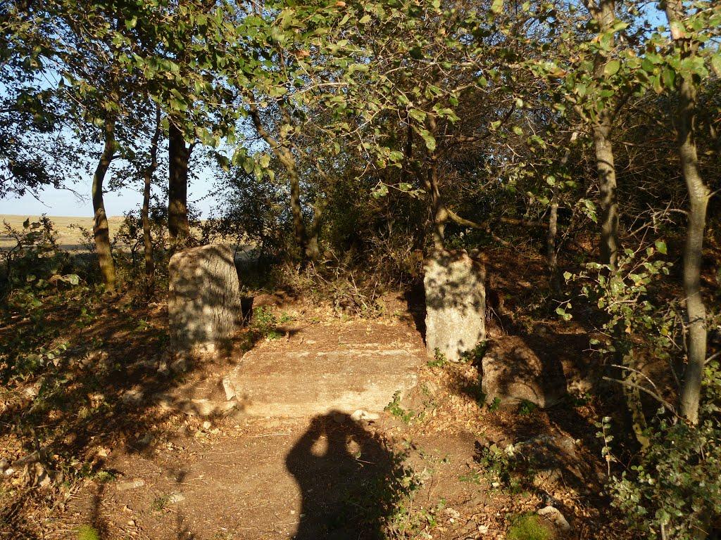Окунівка з panoramio.com - Окунівка