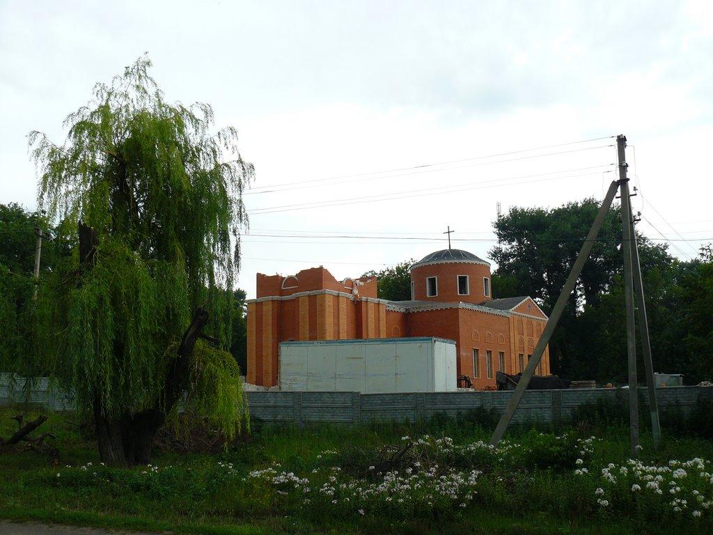 Протопопівка з panoramio.com - Протопопівка