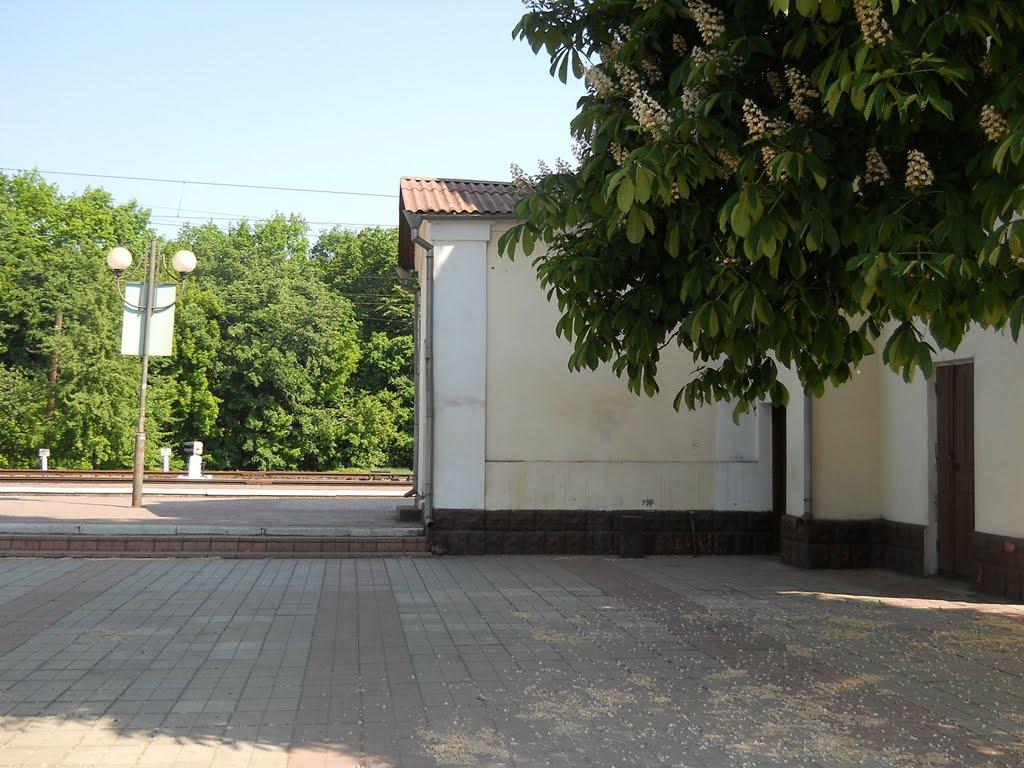 Кожанка з panoramio.com - Кожанка