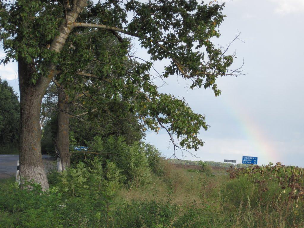 Собківка з panoramio.com - Собківка