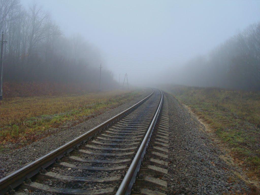 Томашівка з panoramio.com - Томашівка