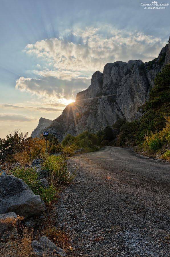 Олива з panoramio.com - Olyva