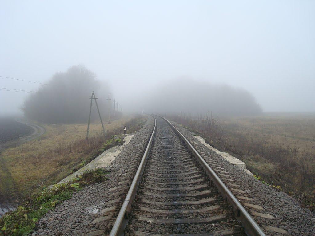 Томашівка з panoramio.com - Томашівка