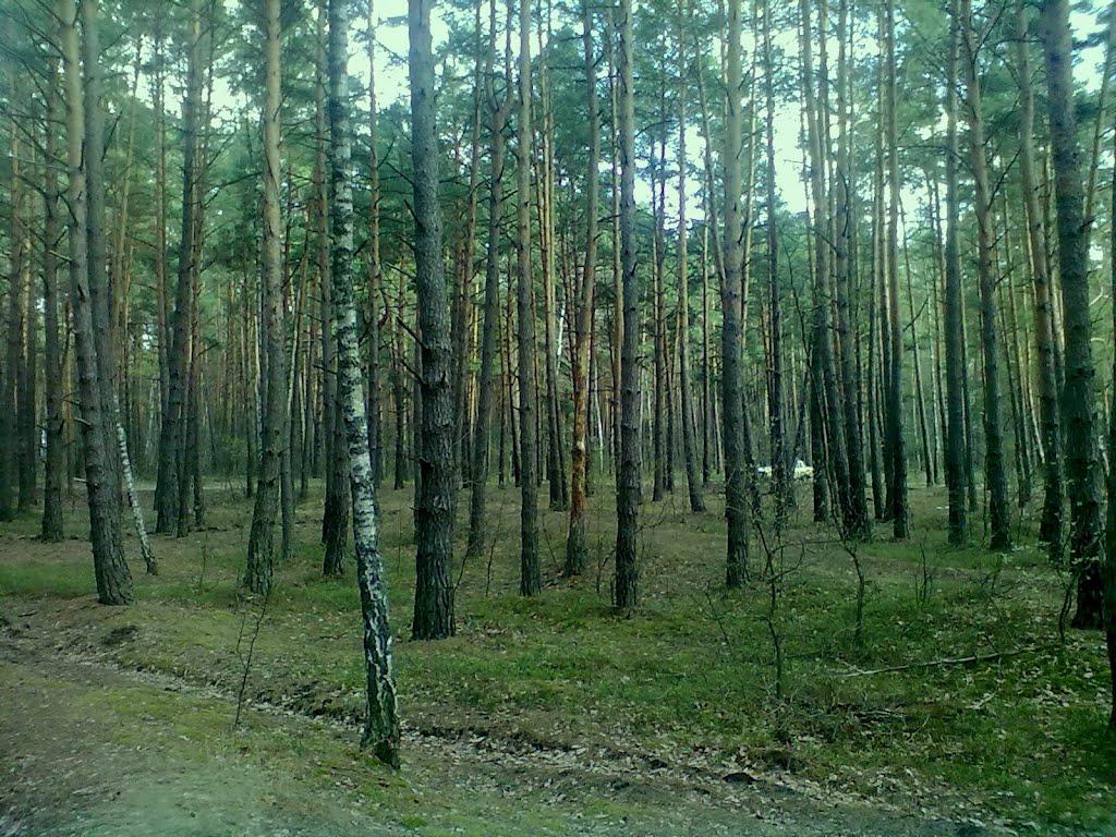 Острог з panoramio.com - Ostrog
