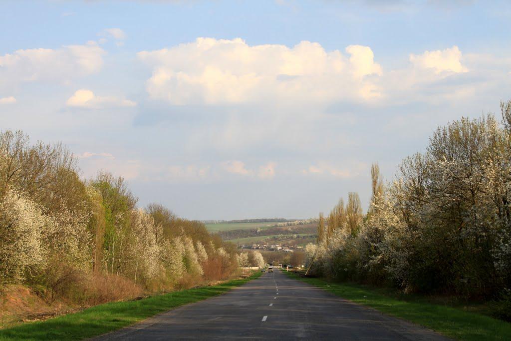 Жабокричка з panoramio.com - Жабокричка