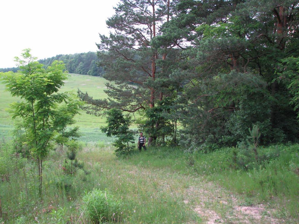 Хорів з panoramio.com - Хорів