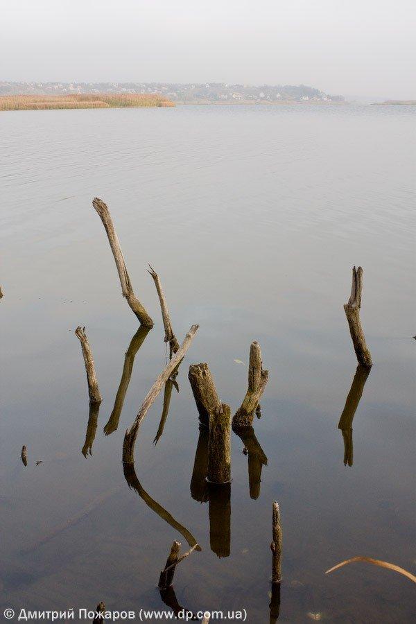 Рідний Край з panoramio.com - Рідний Край