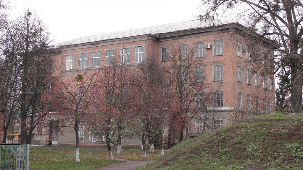 Червонозаводське з panoramio.com - Червонозаводское