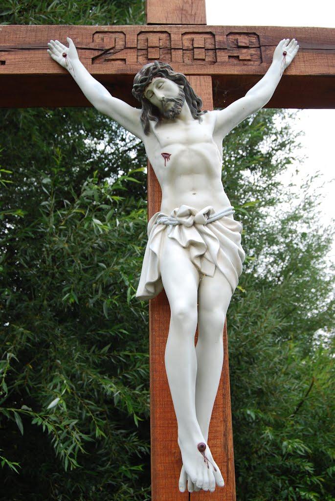 Новоселиця з panoramio.com - Новоселиця