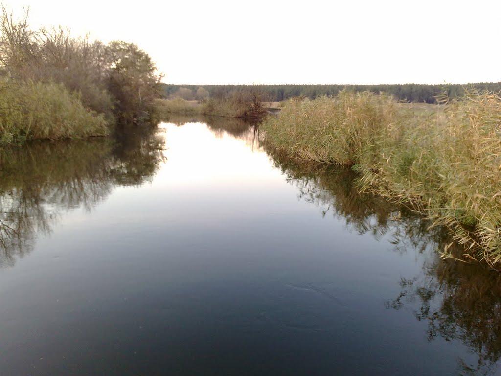 Кицівка з panoramio.com - Кицівка