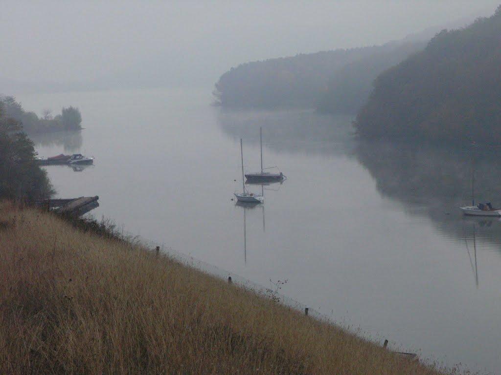 Дністрівка з panoramio.com - Dnistrivka