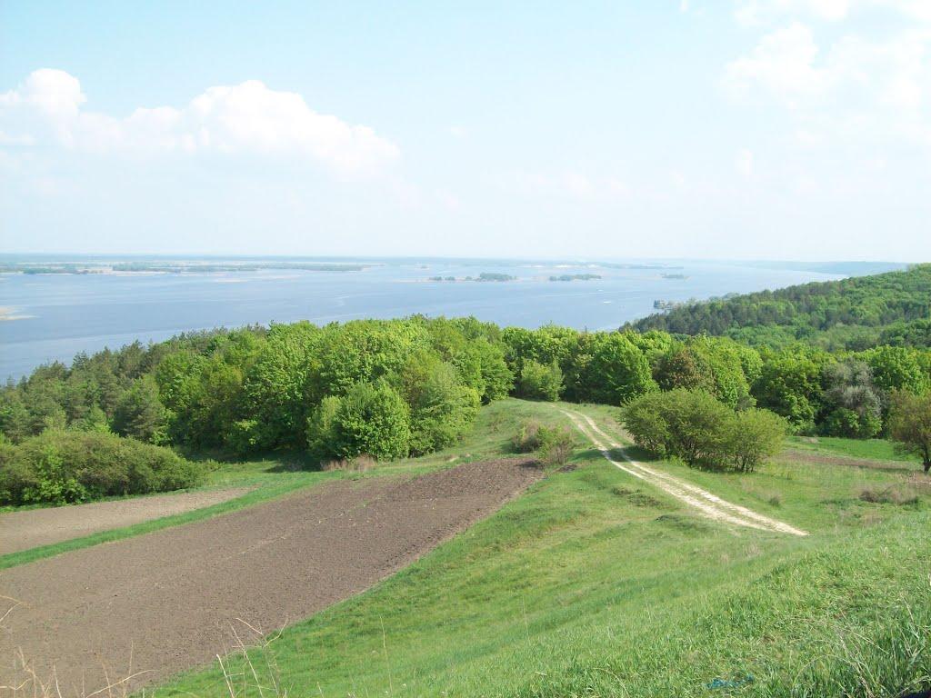 Витачів з panoramio.com - Витачев