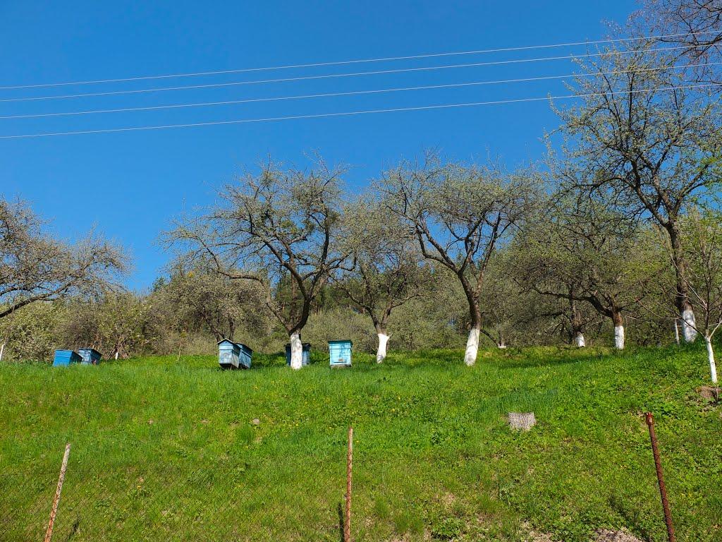 Старе Село з panoramio.com - Старое Село