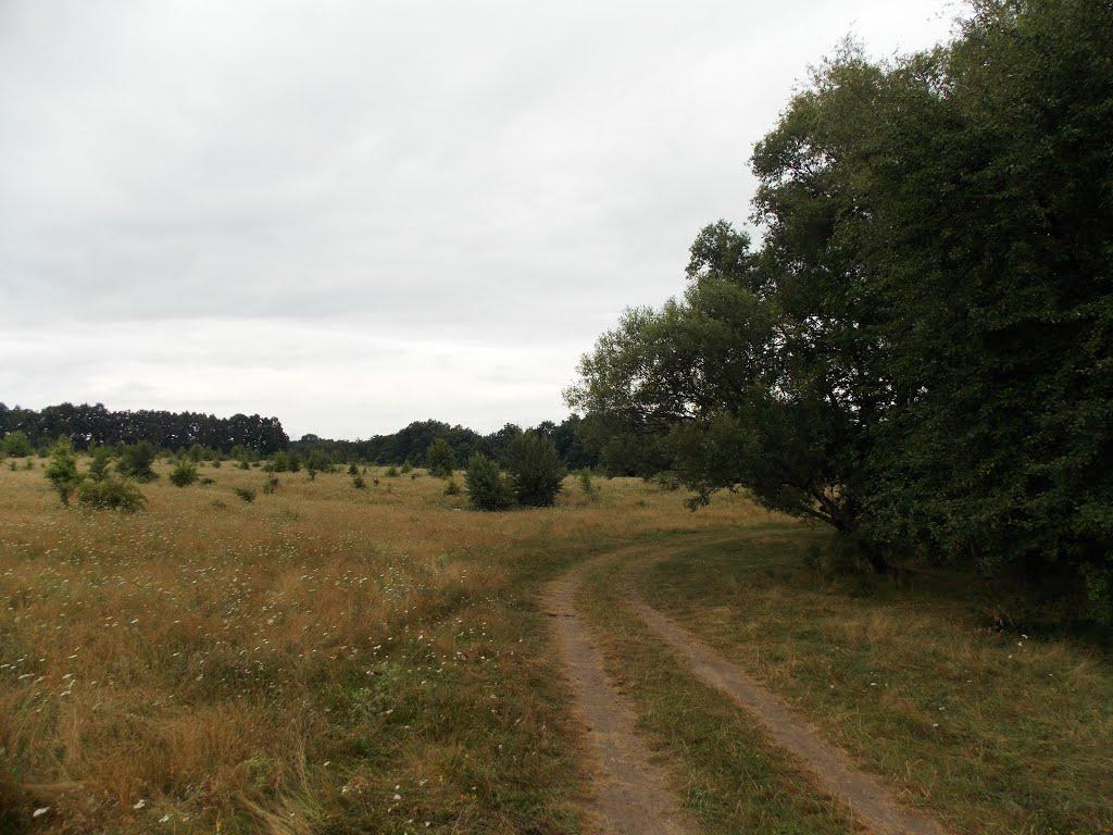 Степашки з panoramio.com - Степашки