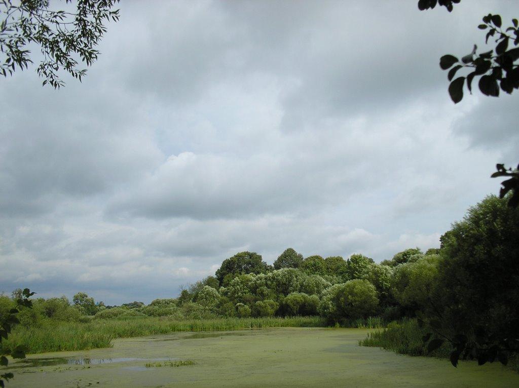 Берестовець з panoramio.com - Берестовець