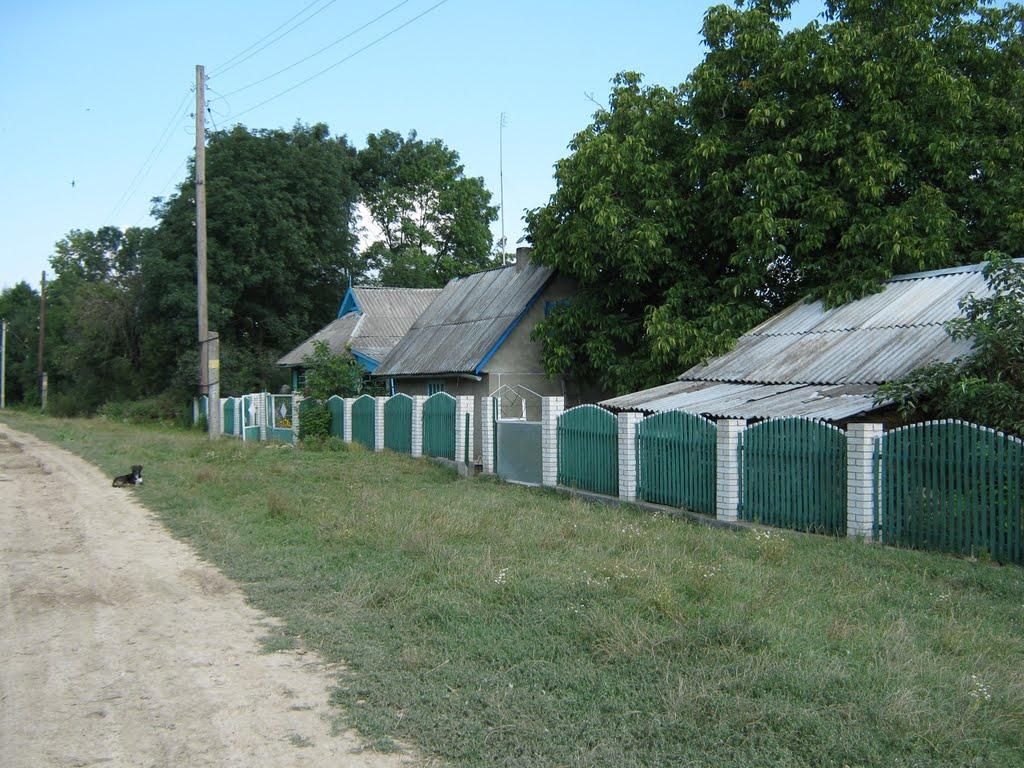 Северинівка з panoramio.com - Severynivka