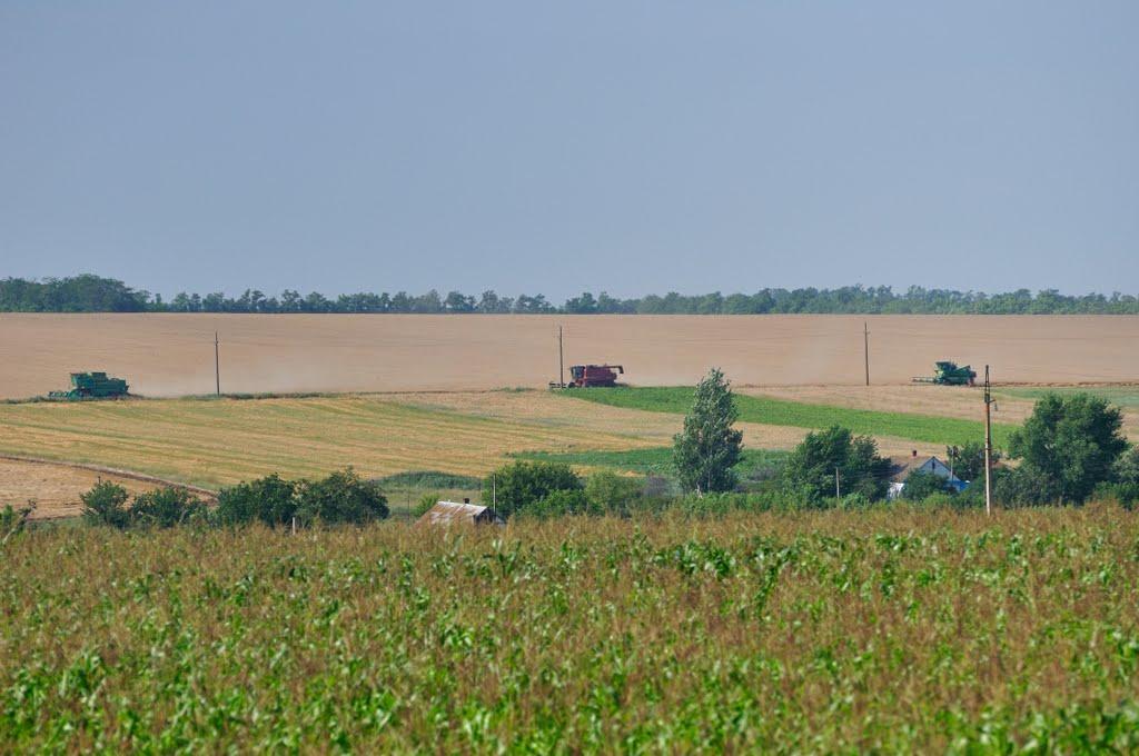 Балашівка з panoramio.com - Балашівка