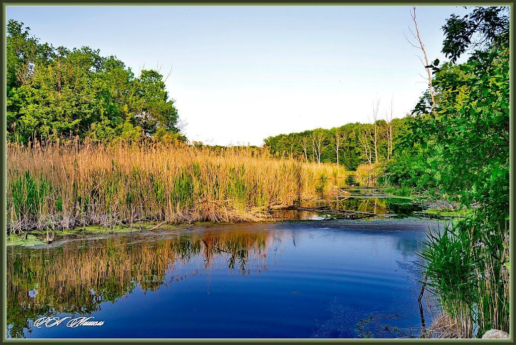 Серебрянка з panoramio.com - Серебрянка