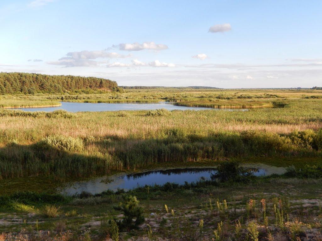 Тутовичі з panoramio.com - Тутовичі