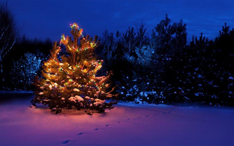 Дмитрівка з panoramio.com - Дмитрівка