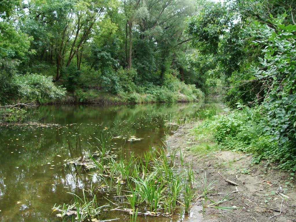 Гарасимівка з panoramio.com - Гарасимовка