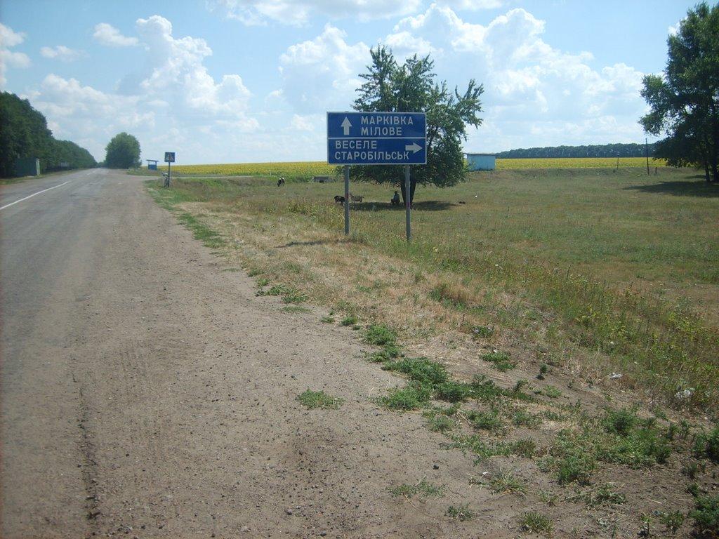 Лісна Поляна з panoramio.com - Лесная Поляна