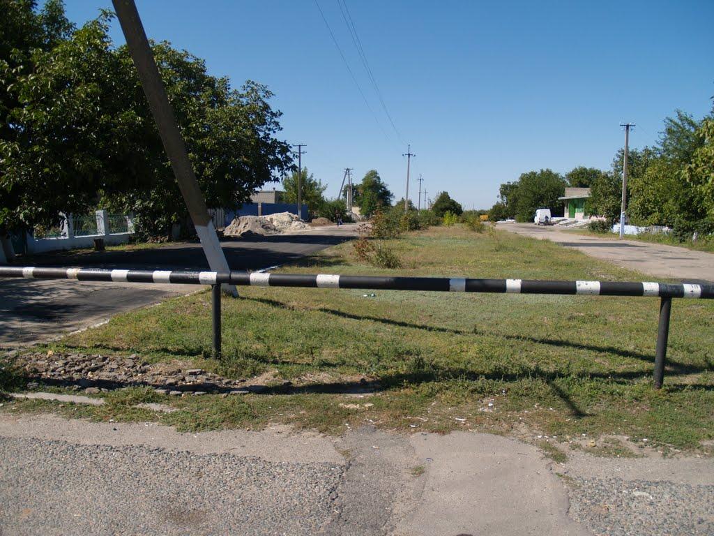 Василівка з panoramio.com - Василівка