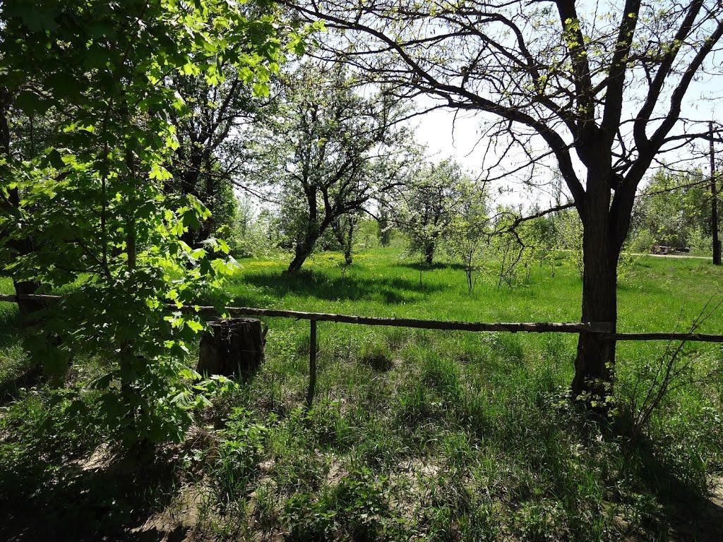 Писарівка з panoramio.com - Писарівка