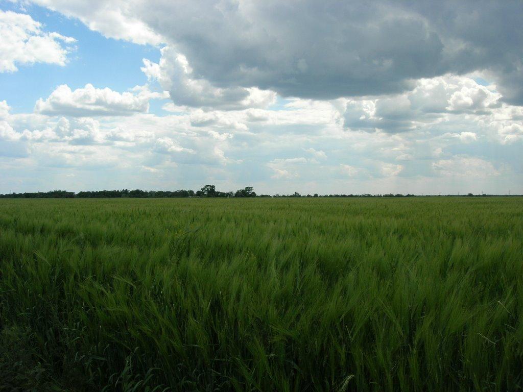 Свистунове з panoramio.com - Свистунове