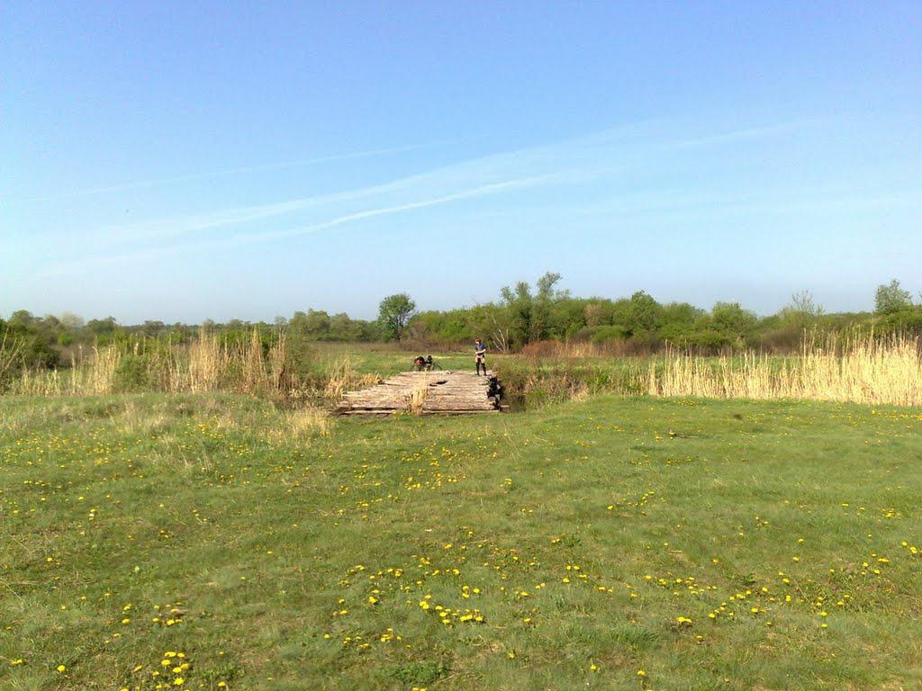 Кицівка з panoramio.com - Кицівка