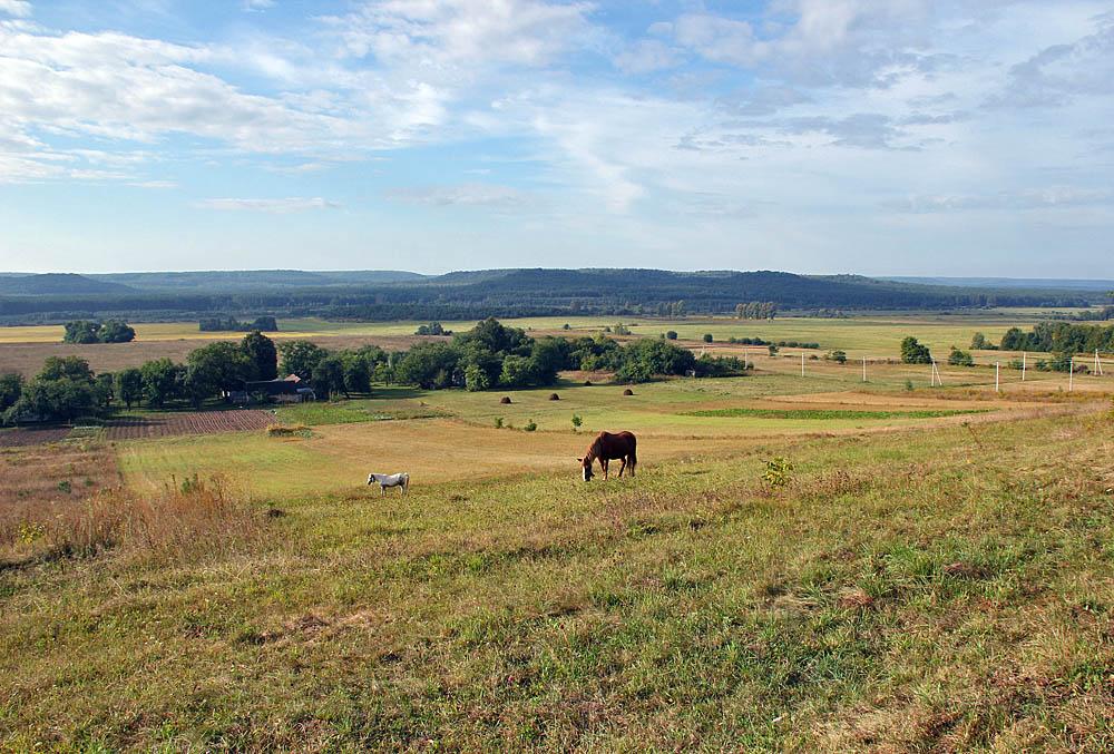 Суйми з panoramio.com - Суйми