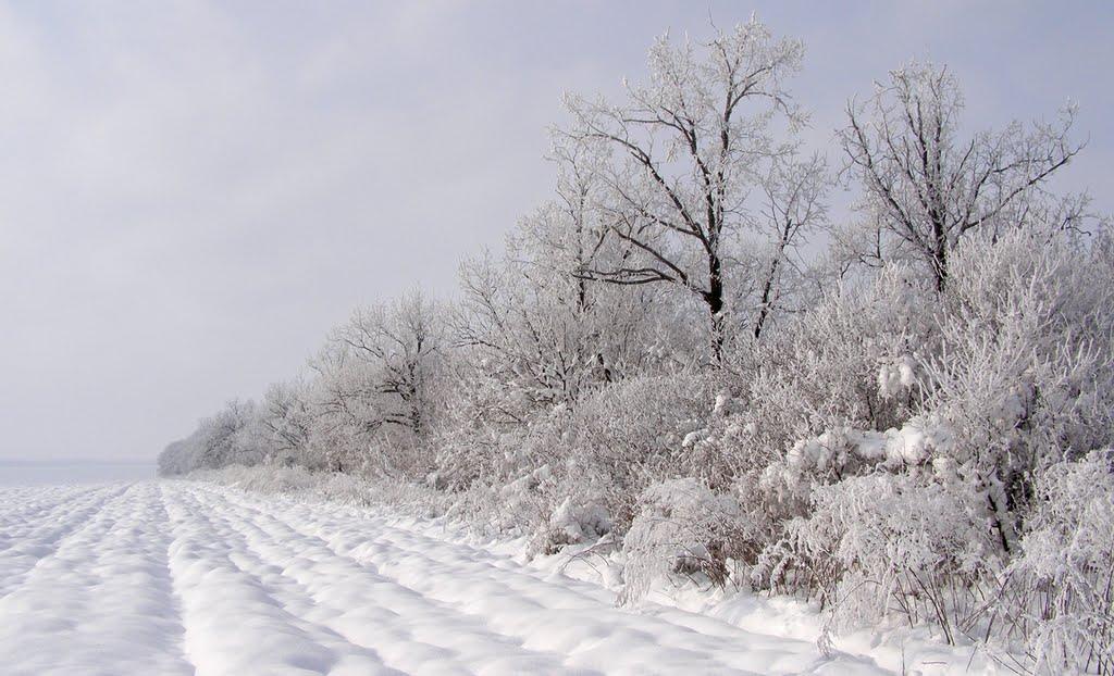 Дачне з panoramio.com - Дачное
