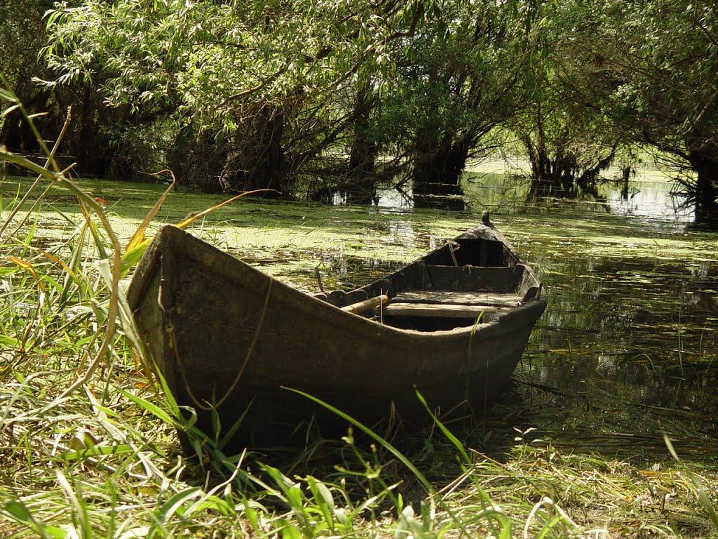 Дунайське з panoramio.com (ч.2) - Дунайское