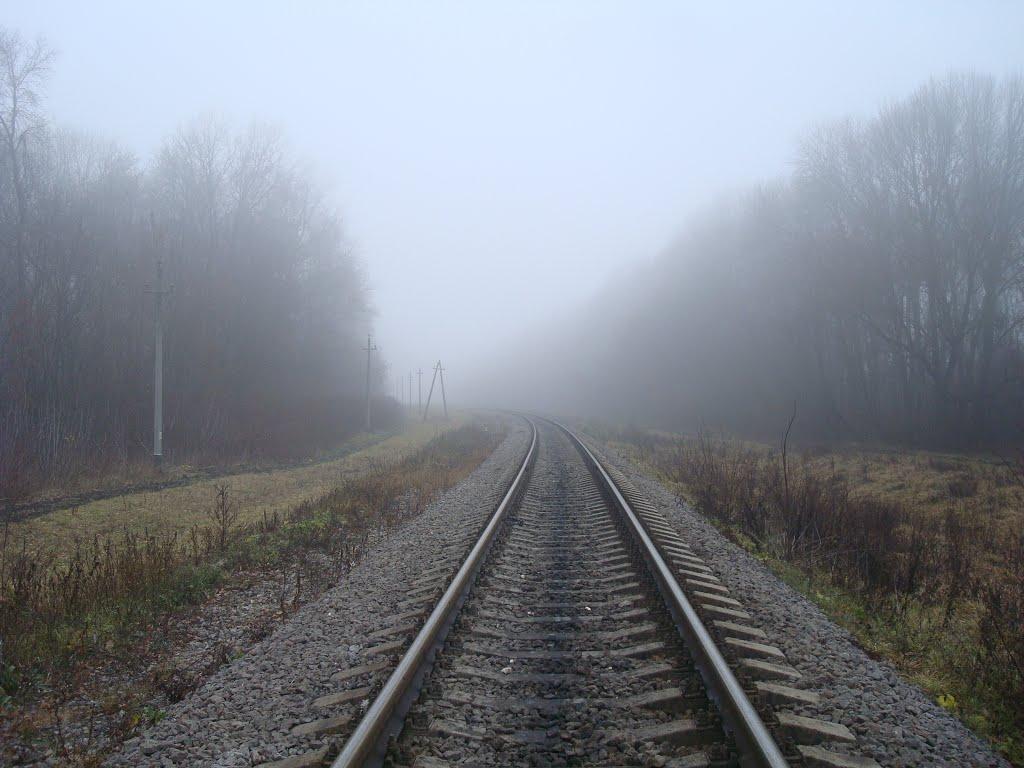 Томашівка з panoramio.com - Томашівка