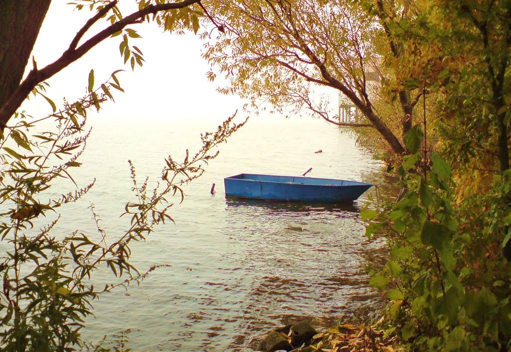 Біла з panoramio.com - Белая