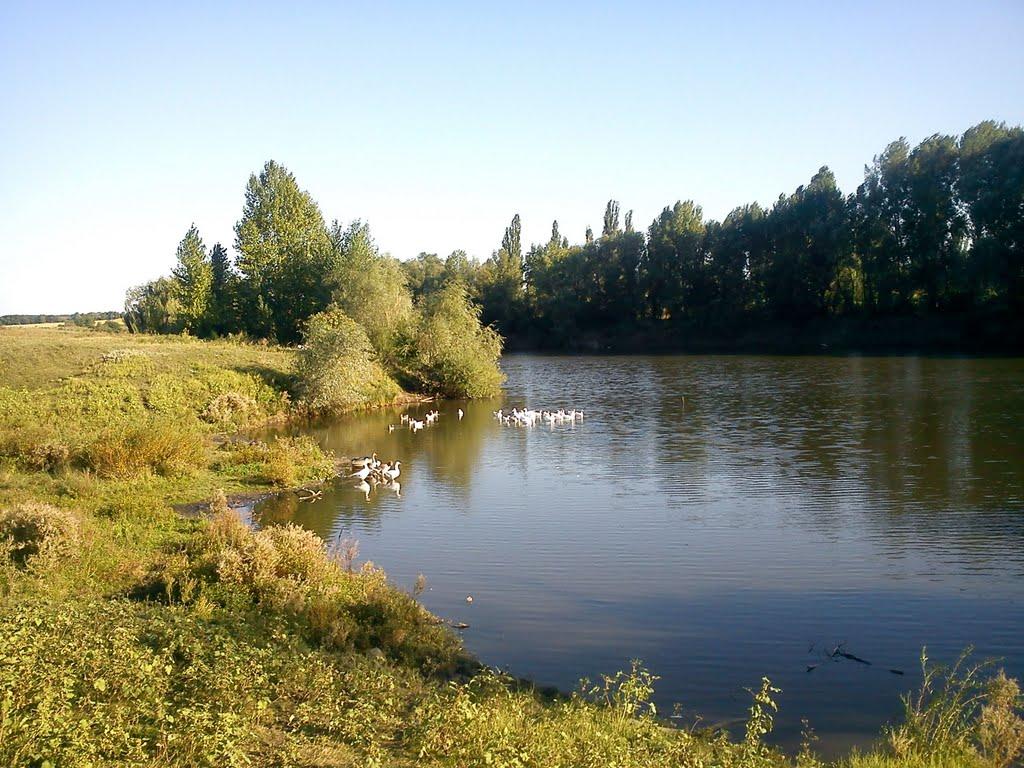 Малинівка з panoramio.com - Малинівка