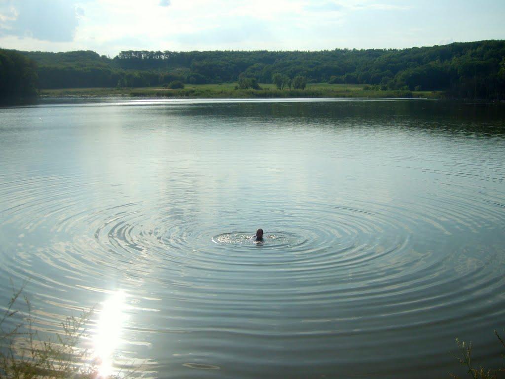 Лісна Поляна з panoramio.com - Лесная Поляна