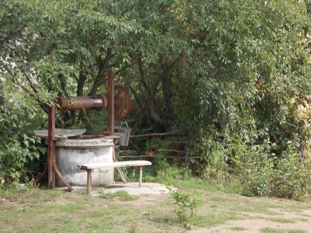 Троща з panoramio.com - Троща