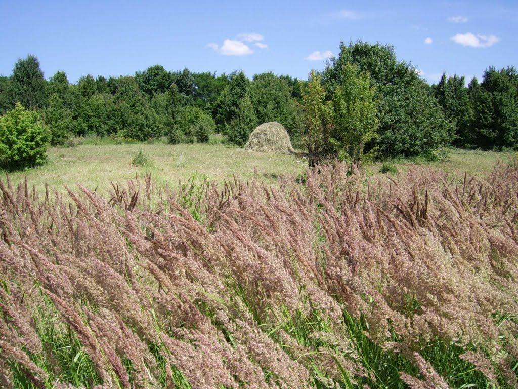 Фартуківка з panoramio.com - Фартуковка