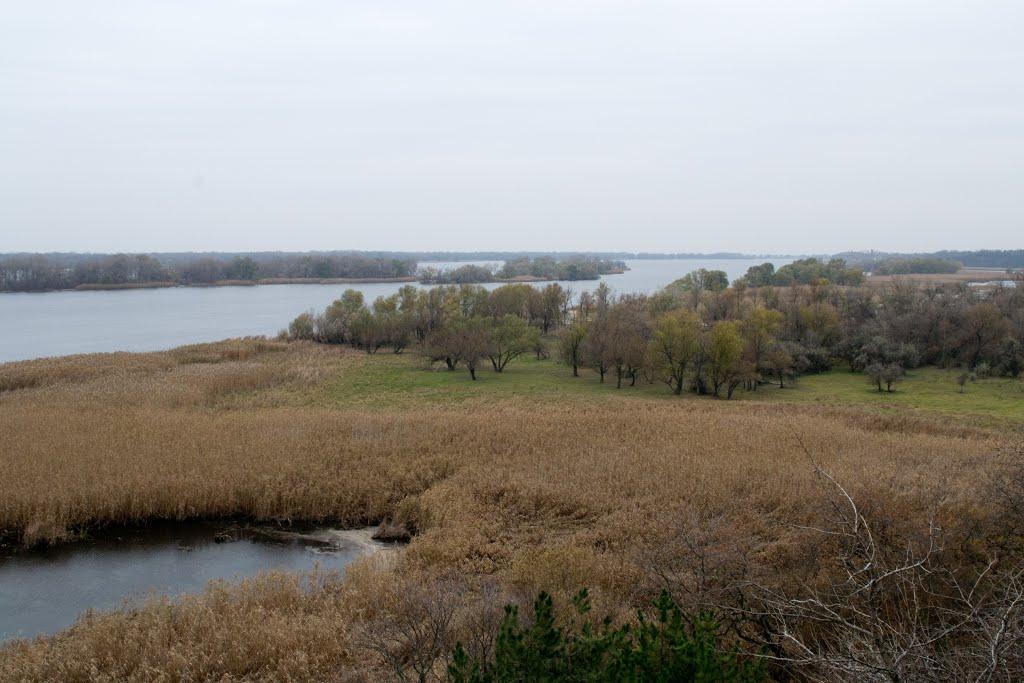 Канівське з panoramio.com - Каневское