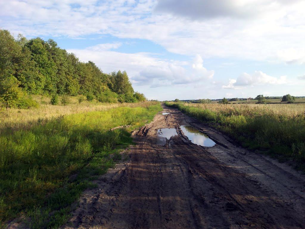 Саранчівка з panoramio.com - Saranchivka