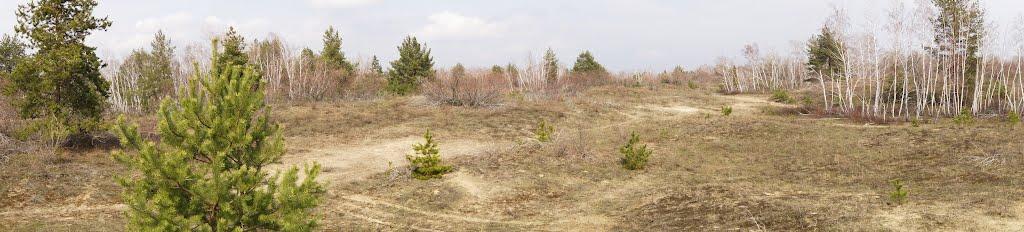 Кряківка з panoramio.com - Кряковка