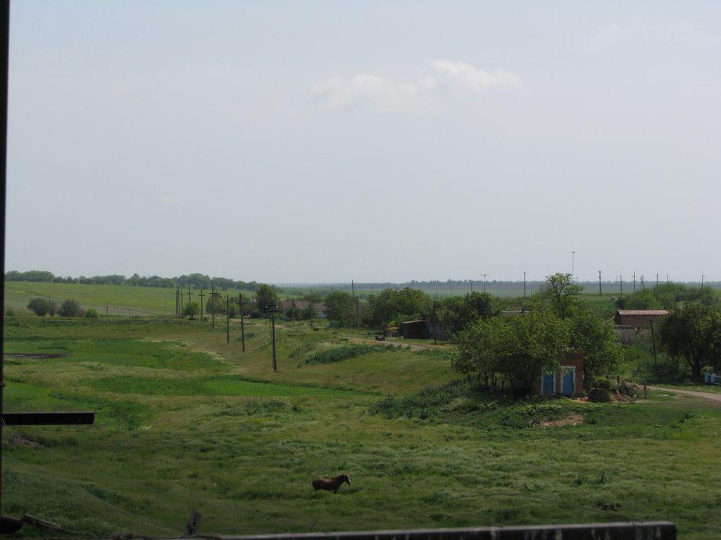 Нові Шомполи з panoramio.com - Нові Шомполи