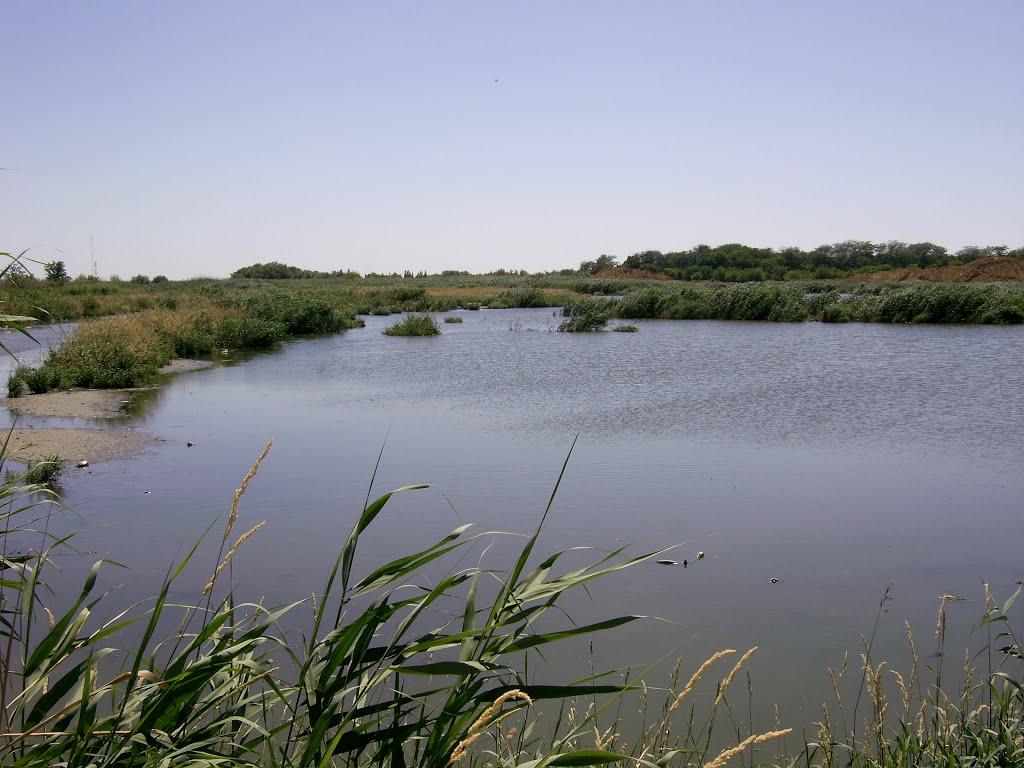 Салгирка з panoramio.com - Салгирка