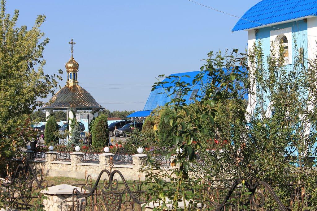 Онишківці з panoramio.com - Онишківці